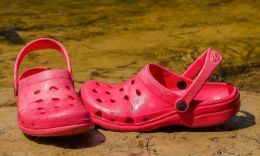 crocs on the river bank