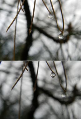 Different Droplet