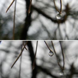 DifferentDroplet