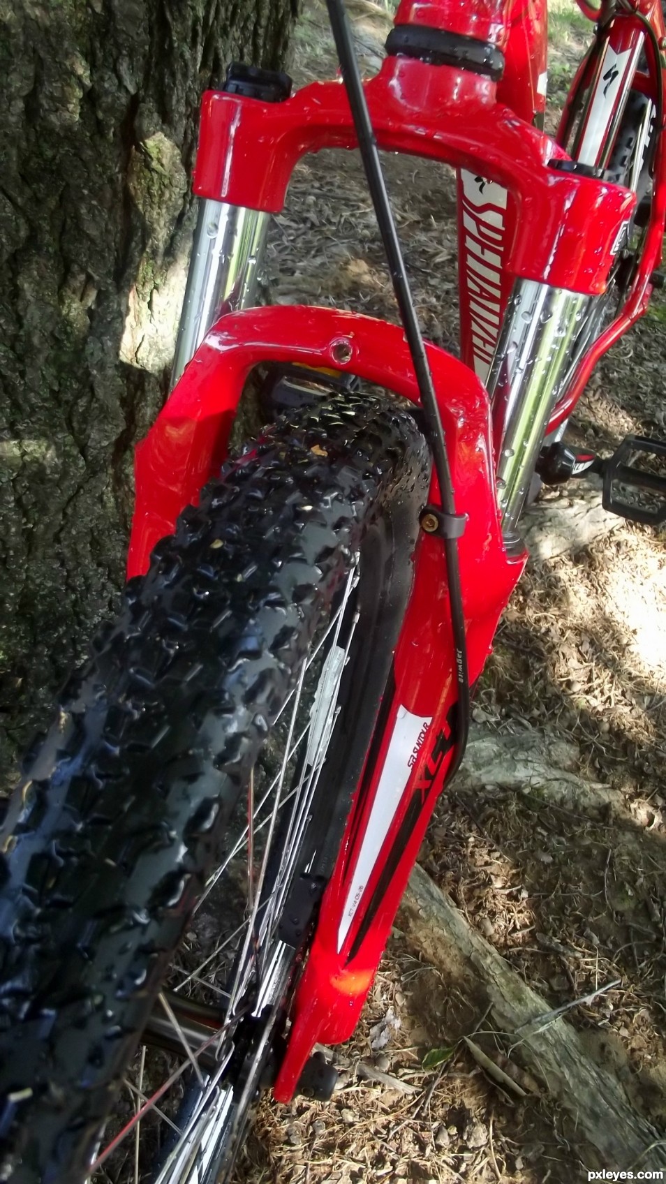 Clean bike fork