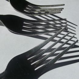 Forks