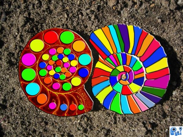 colourful fossils