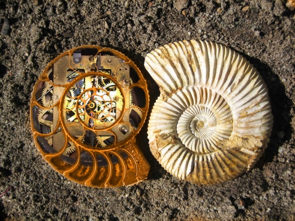 Creation of Fossil Timepiece: Step 3