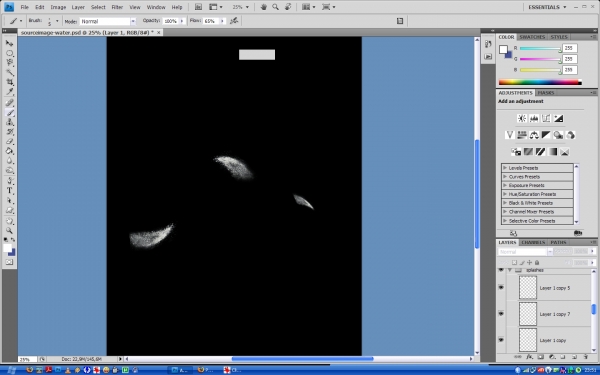 Creation of Dolphin: Step 3