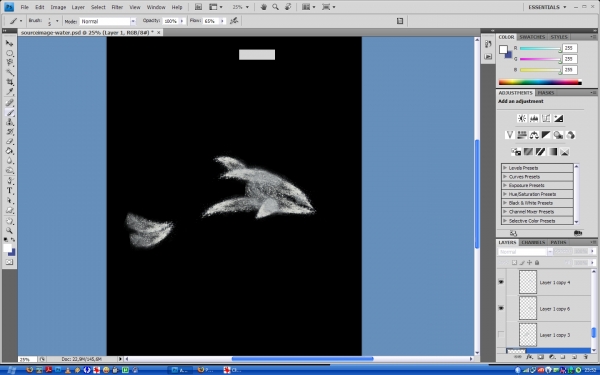 Creation of Dolphin: Step 5