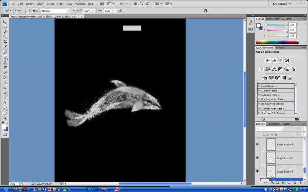 Creation of Dolphin: Step 6