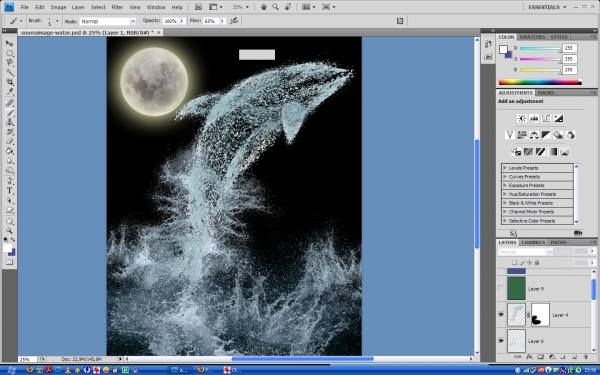 Creation of Dolphin: Step 9