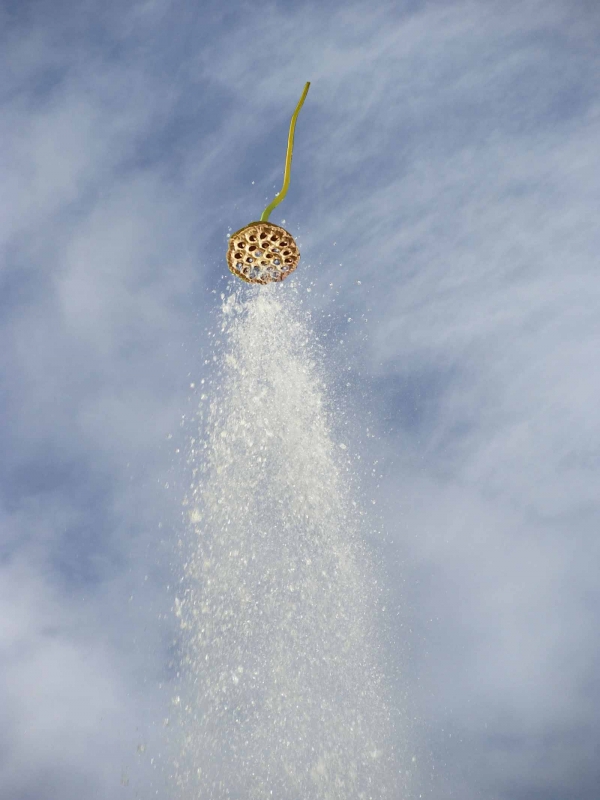 Creation of Try nature's shower : Step 2