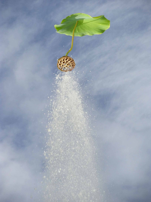 Creation of Try nature's shower : Step 3