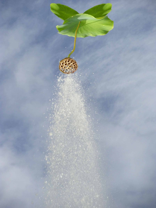 Creation of Try nature's shower : Step 4