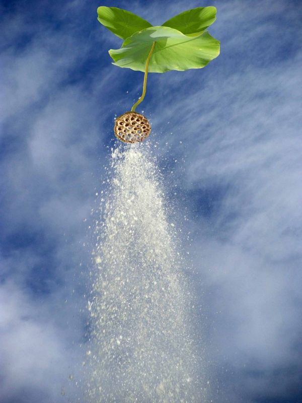 Creation of Try nature's shower : Step 5