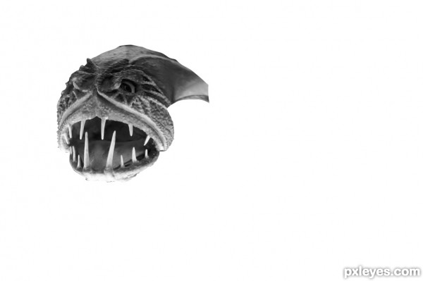 Creation of ocean creature: Step 1