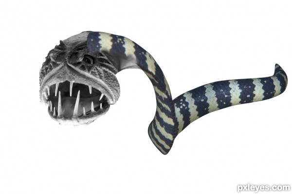 Creation of ocean creature: Step 2