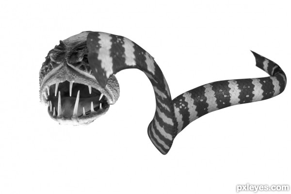 Creation of ocean creature: Step 3
