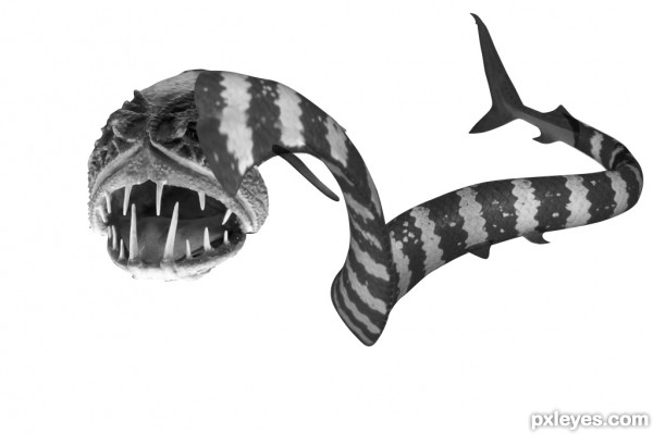 Creation of ocean creature: Step 4