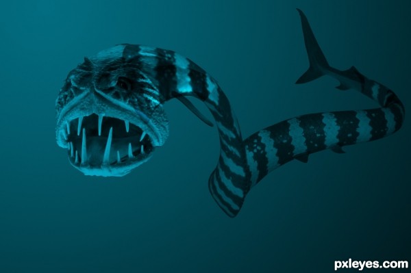 Creation of ocean creature: Step 5