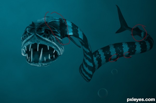 Creation of ocean creature: Step 6