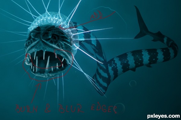 Creation of ocean creature: Step 7