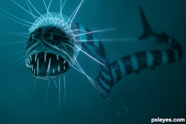Creation of ocean creature: Step 8