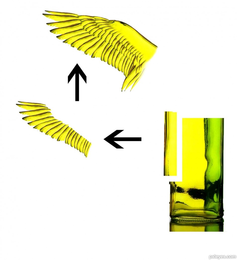 Creation of QUACK QUACK: Step 2