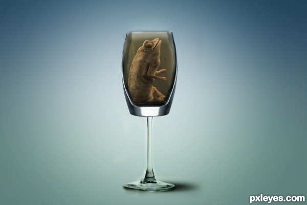 Creation of Luxury Exotic Drink: Step 8