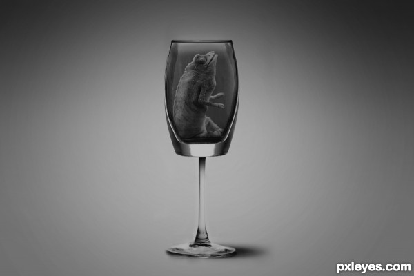 Creation of Luxury Exotic Drink: Step 10