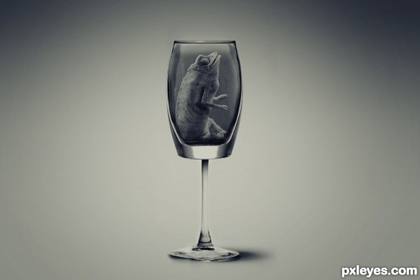 Creation of Luxury Exotic Drink: Step 11