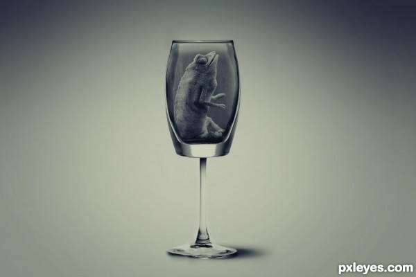 Creation of Luxury Exotic Drink: Step 12