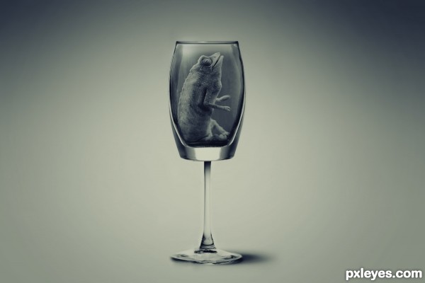Creation of Luxury Exotic Drink: Step 13