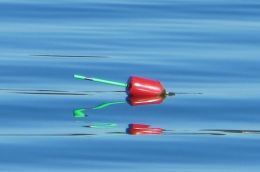 Buoy