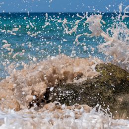 Foam