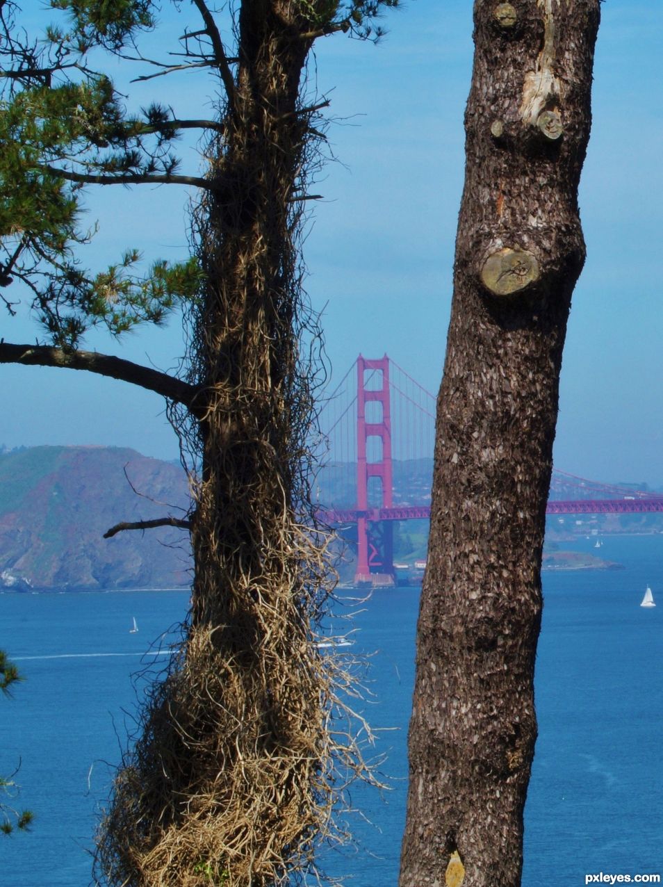 Golden Gate Bridge