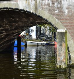 Through the Bridge