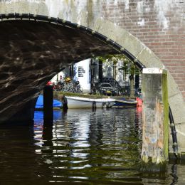 Through the Bridge Picture