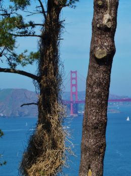 Golden Gate Bridge