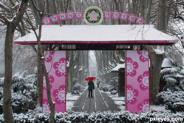 Red umbrella in the snow