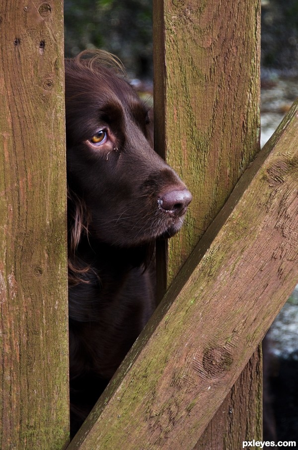 let me out