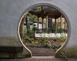 Intothesecretgarden