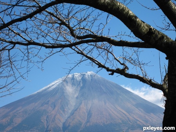 Mt. Fuji 