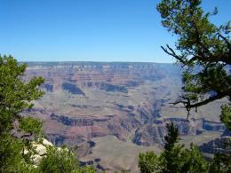 Grand Canyon Picture