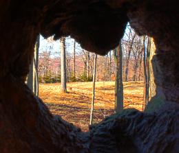 Through a Hollow Log