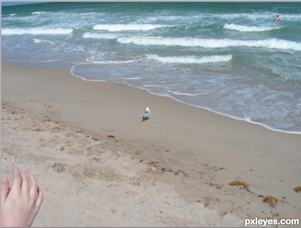 Creation of Leapin' at the Beach: Step 1