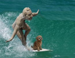 Surfing Ride