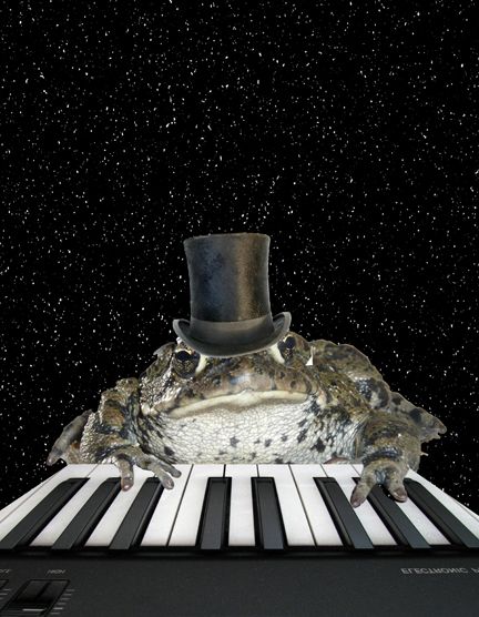 Creation of The Piano Frog: Step 8