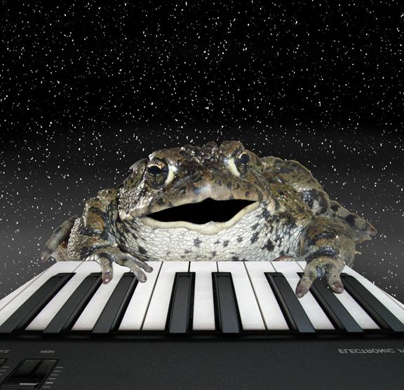 Creation of The Piano Frog: Step 9