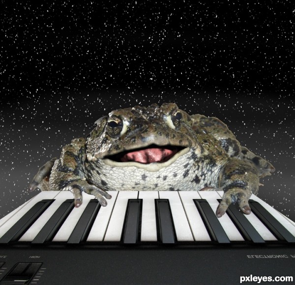 Creation of The Piano Frog: Step 11