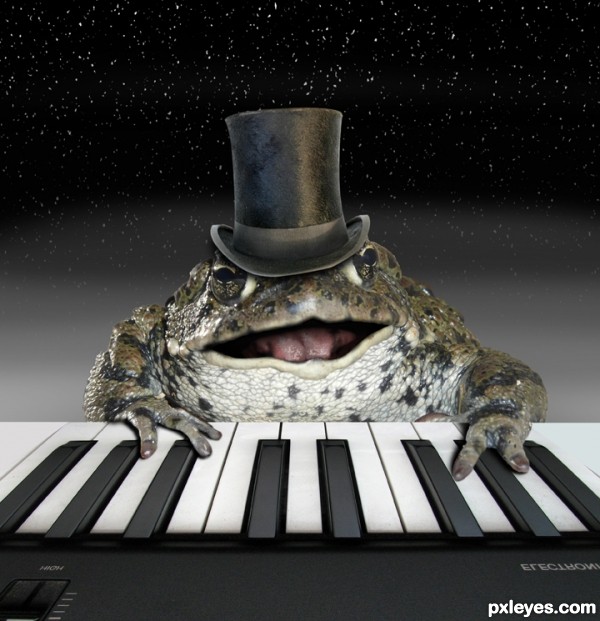 Creation of The Piano Frog: Step 12