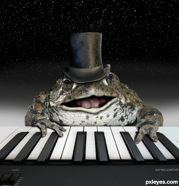 Creation of The Piano Frog: Step 13