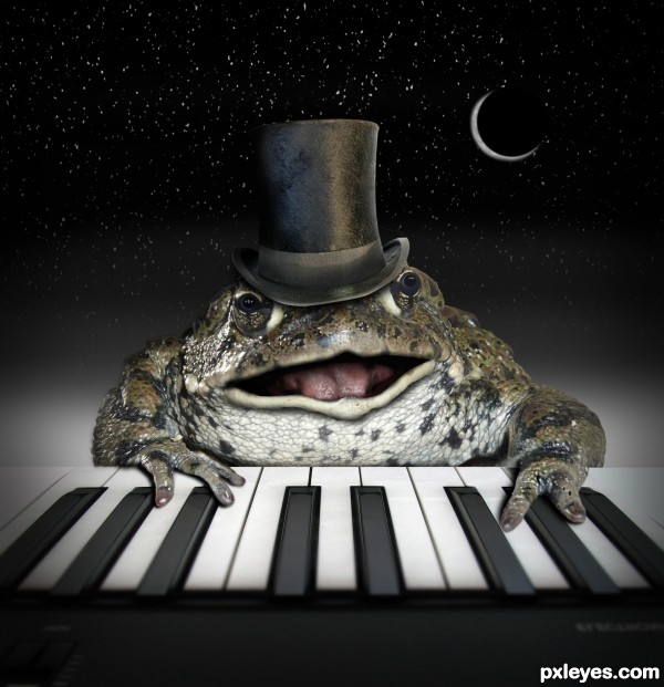 Creation of The Piano Frog: Step 14