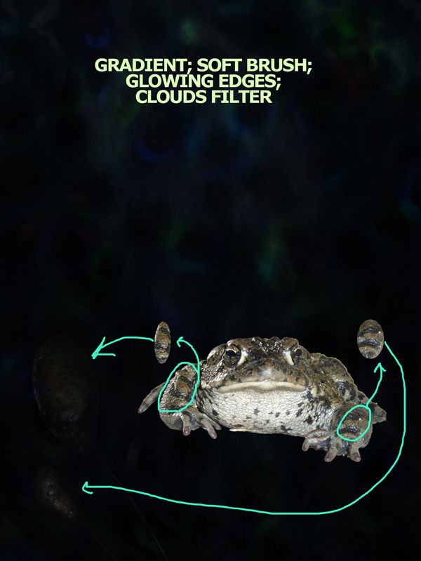 Creation of Ancient: Step 1